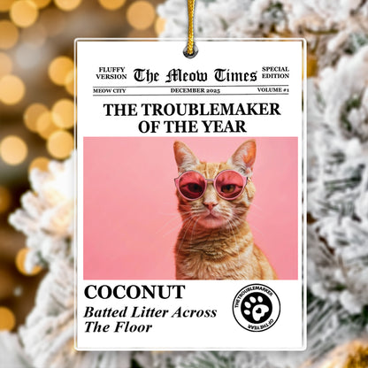 The Dog Times, The Meow Times - Troublemaker Of The Year - Personalized Acrylic Photo Ornament