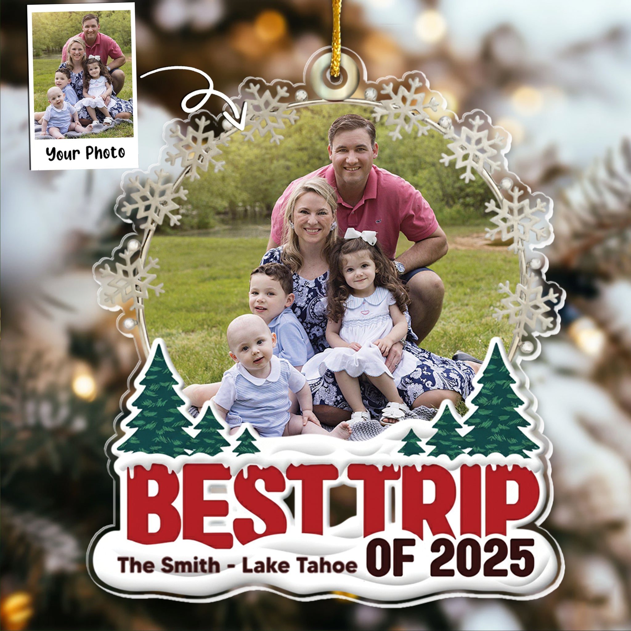 Best Trip Of 2025 - Personalized Acrylic Photo Ornament