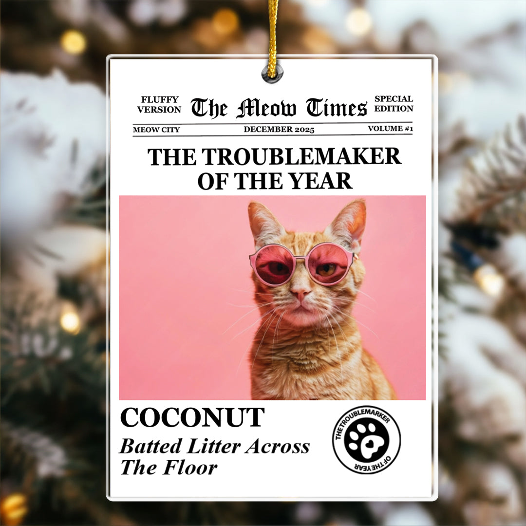 The Dog Times, The Meow Times - Troublemaker Of The Year - Personalized Acrylic Photo Ornament