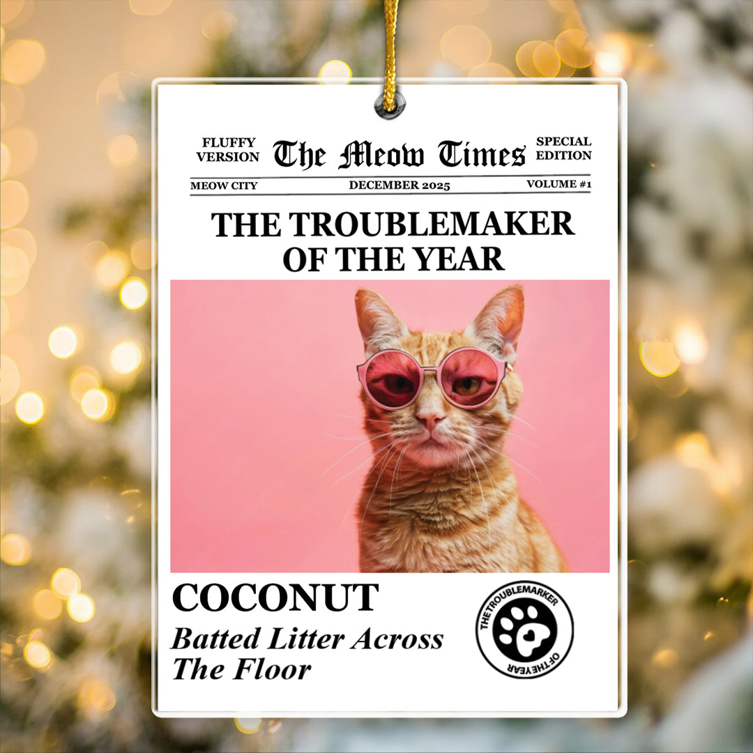 The Dog Times, The Meow Times - Troublemaker Of The Year - Personalized Acrylic Photo Ornament