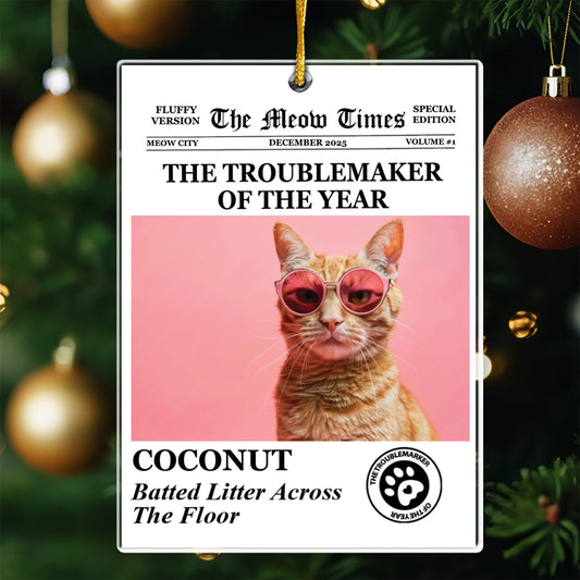 The Dog Times, The Meow Times - Troublemaker Of The Year - Personalized Acrylic Photo Ornament