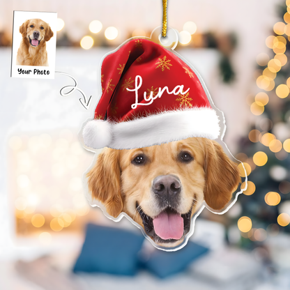 Pet Funny Christmas Face - Personalized Pet Photo Ornament