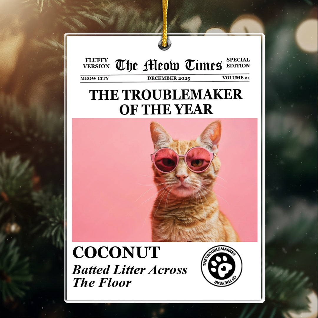 The Dog Times, The Meow Times - Troublemaker Of The Year - Personalized Acrylic Photo Ornament